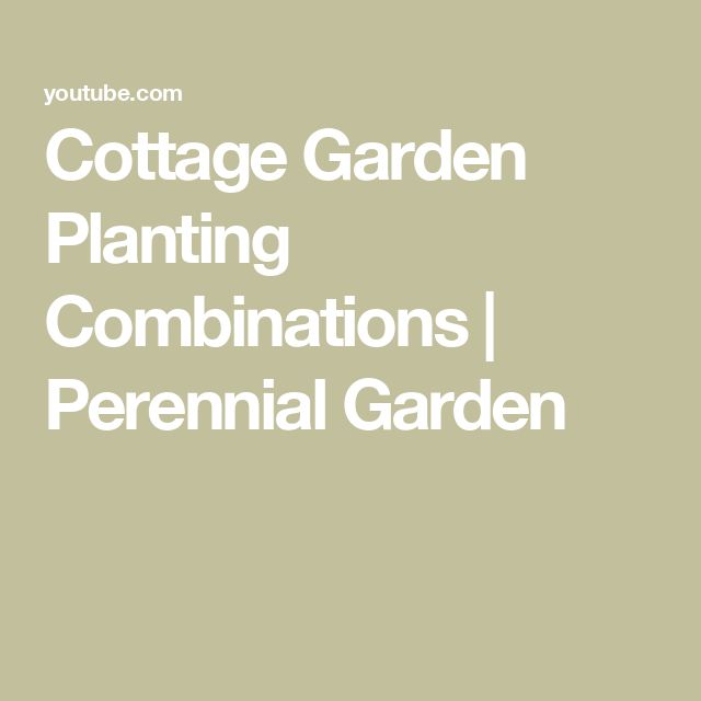 the words cottage garden planting combinations perennial garden on a light green background with white text