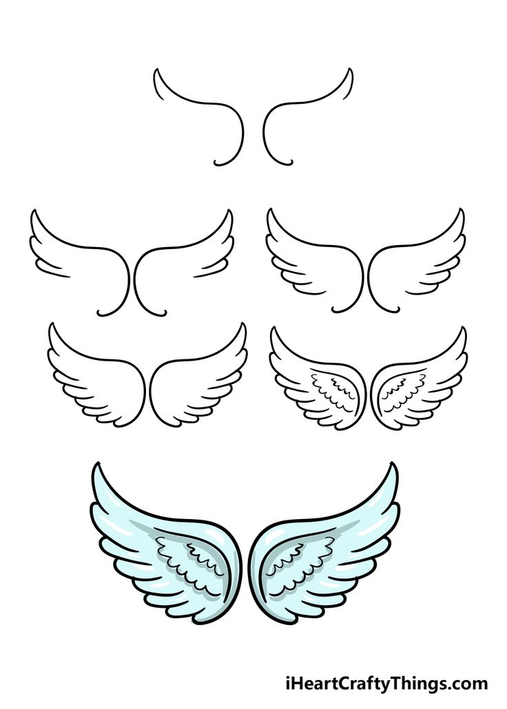 four wings with different shapes and sizes