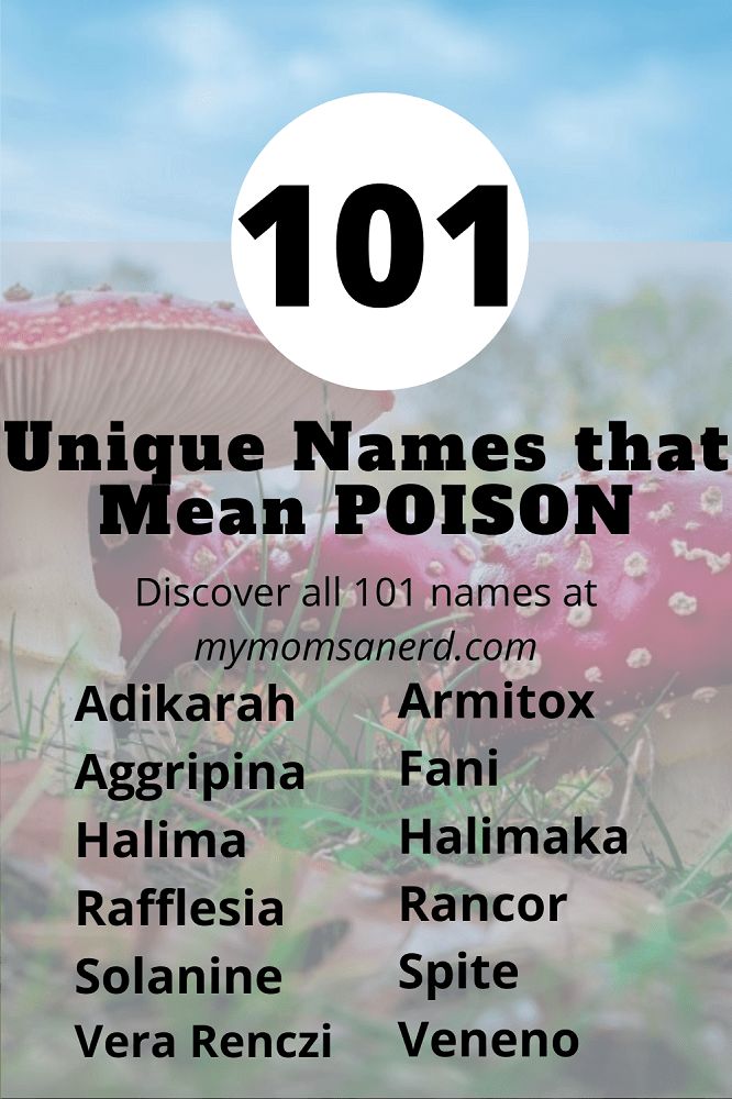 an image of a mushroom with the words unique names that meanpoison