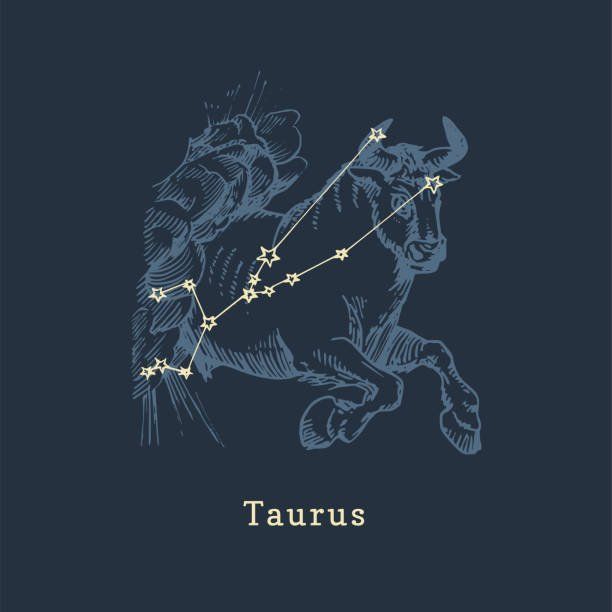 the zodiac sign taurus on a dark blue background royalty illustration