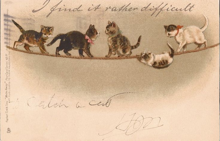 an old postcard with cats walking on a tightrope and the caption says, i stand as rather difficult