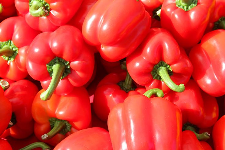 many red peppers with green stems