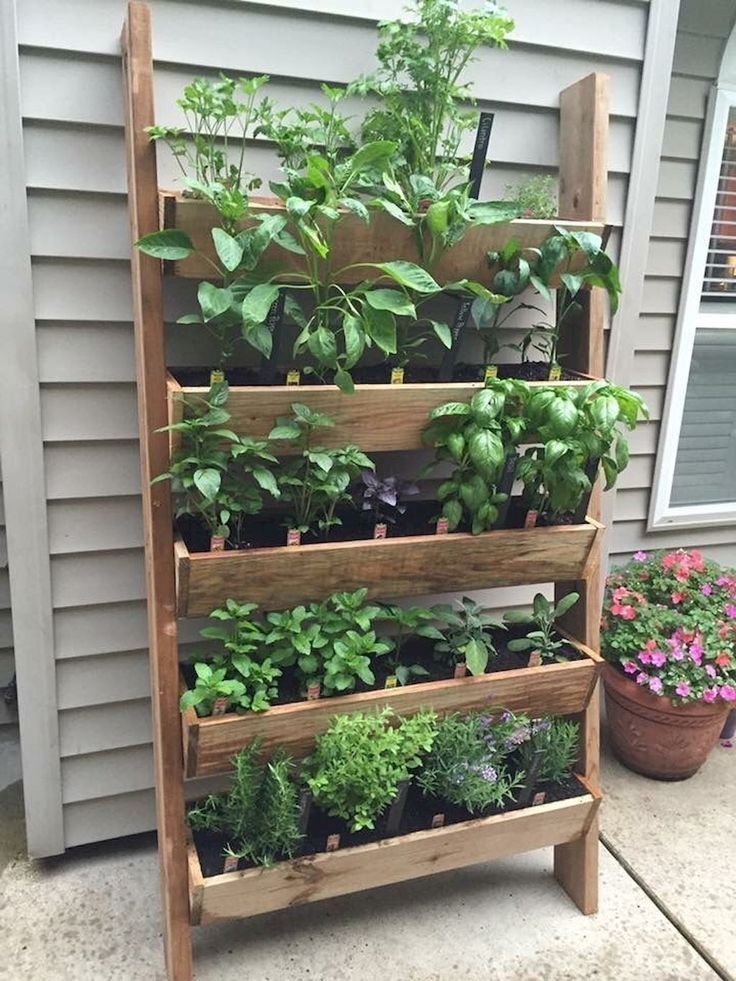 a wooden plant stand filled with lots of plants