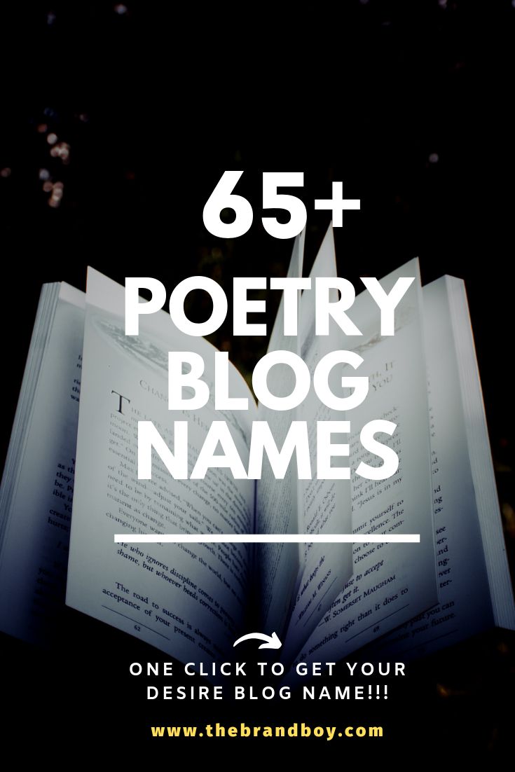 an open book with the words 65 + poetry blog names