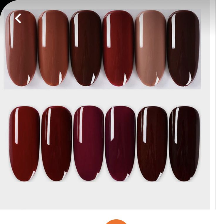 Dnd Gel Nail Polish, Simple Fall Nails, Toe Nail Color, Plain Nails, Fall Nail Trends, Manicure Diy, Deep Autumn, Fitness Photoshoot, Nail Colours