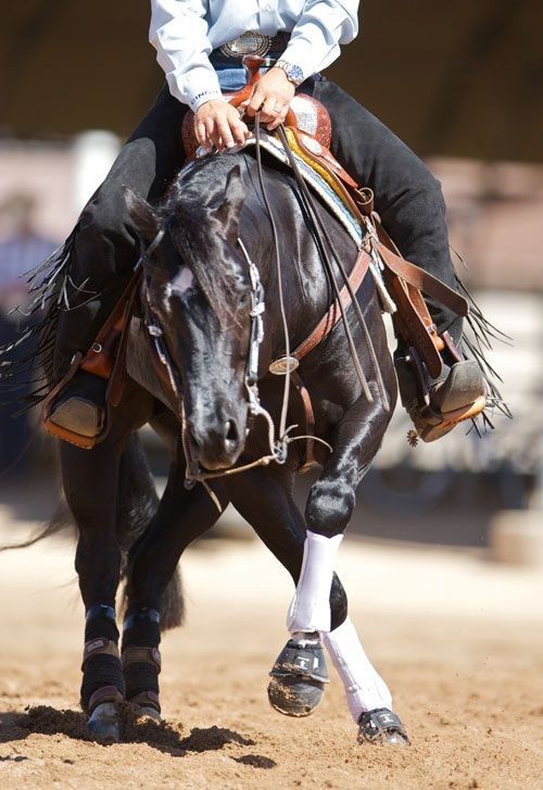 a woman riding on the back of a black horse