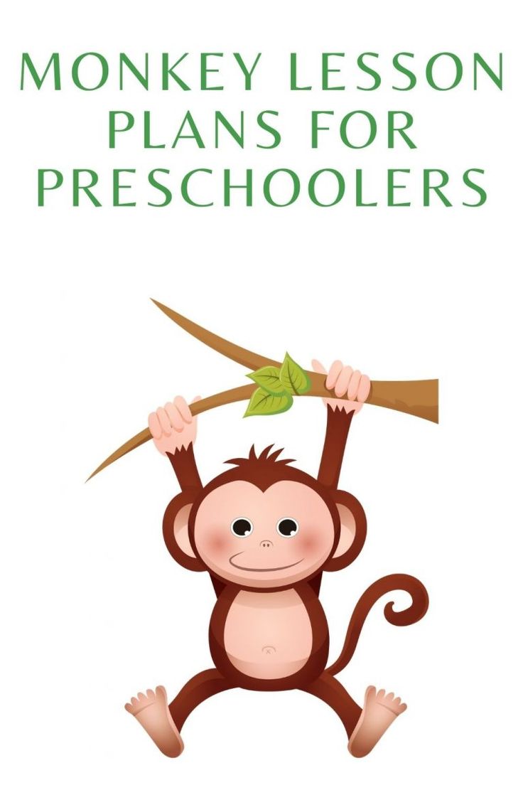 a monkey holding a branch with the words monkey lesson plans for preschoolers on it