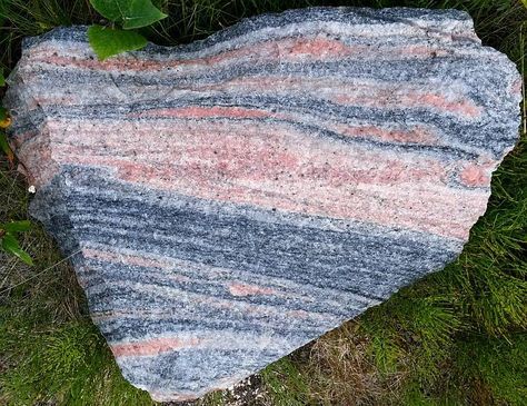 a rock that is sitting in the grass with a plant growing on top of it