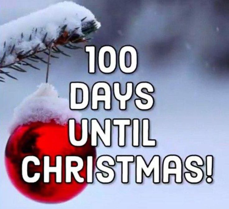 a christmas ornament hanging from a tree with the words 100 days until christmas