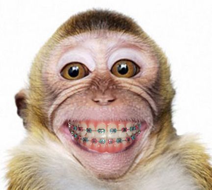 a monkey that is smiling with the caption that says, that's how you look when you smile