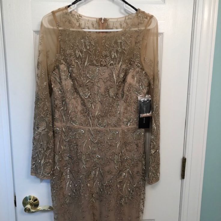 This Dress Is Gorgeous, Never Worn, New With Tags! Sheer Layer Of Pale Mauve With Delicate Embroidery Of Pale Green Leaves/Pink Flowers And Beaded Throughout, Over Beige Lining. Sheer Embroidery/Beads Continue At The Neckline & On Long Sleeves And The Flower Design Tapers At The Hem. Tailored Waist, Zipped Back. This Elegant Dress Is Perfect For Cocktail, Evening Or Wedding Attire. Originally Sold By Neiman Marcus. Elegant Fitted Evening Dress With Intricate Embroidery, Elegant Evening Dress With Intricate Embroidery, Elegant Evening Dress With Intricate Embroidery For Wedding, Champagne Fitted Long Sleeve Mother Of The Bride Dress, Elegant Wedding Evening Dress With Intricate Embroidery, Fitted Evening Dress With Intricate Embroidery For Party, Elegant Party Evening Dress With Intricate Embroidery, Intricate Embroidery Fitted Evening Dress For Party, Elegant Party Dress With Intricate Embroidery