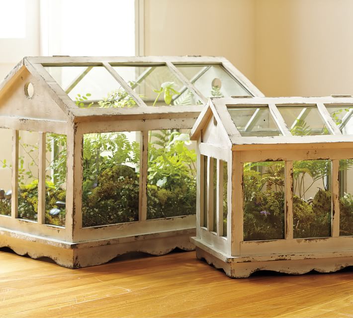 two wooden greenhouses with plants inside on the floor