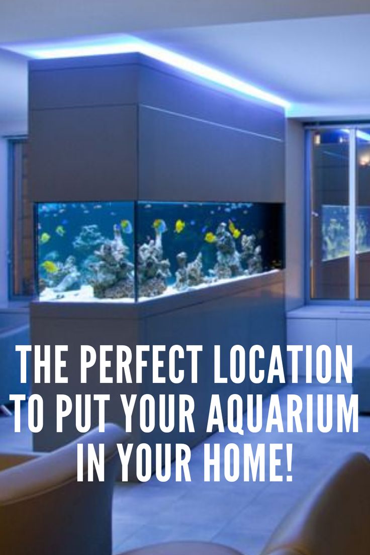 the perfect location to put your aquarium in your home