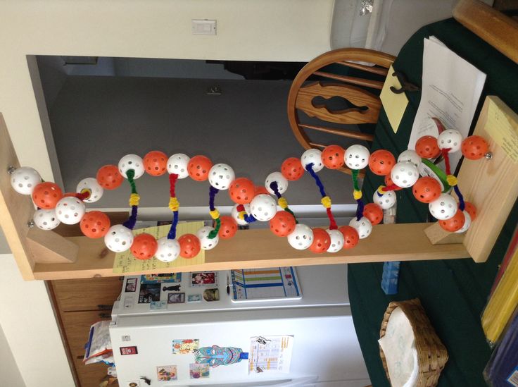 an orange and white bead necklace is on a shelf in front of a refrigerator