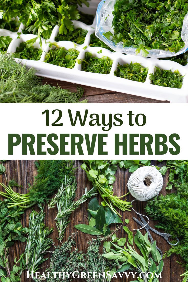 fresh herbs on a wooden table with text overlay that reads 12 ways to preserve herbs