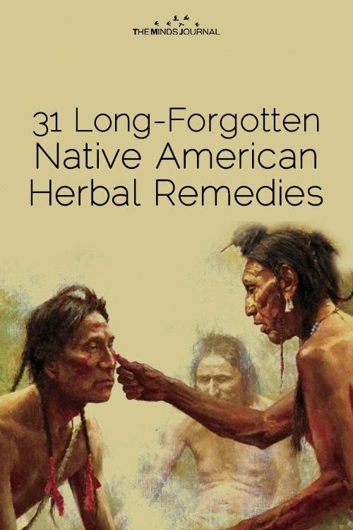 Native American Remedies, Herb Remedies, Natural Healing Remedies, Healing Plants, Herbal Healing, Herbs For Health, Healing Herbs, Natural Health Remedies, Natural Home Remedies