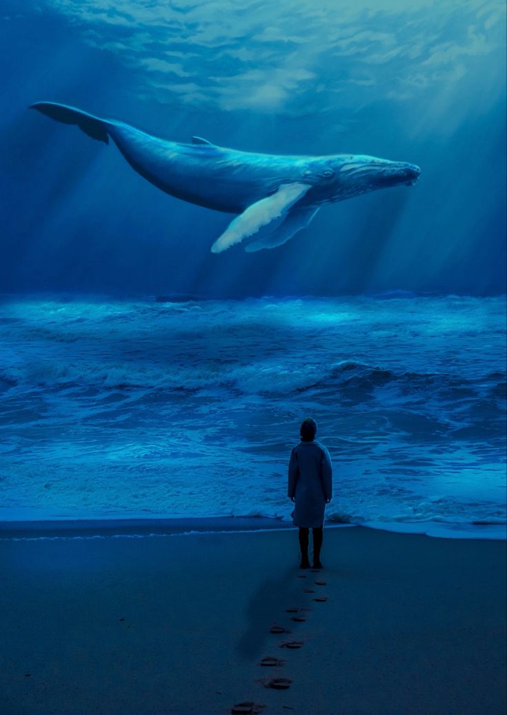 a man standing on top of a beach next to the ocean under a whale's tail