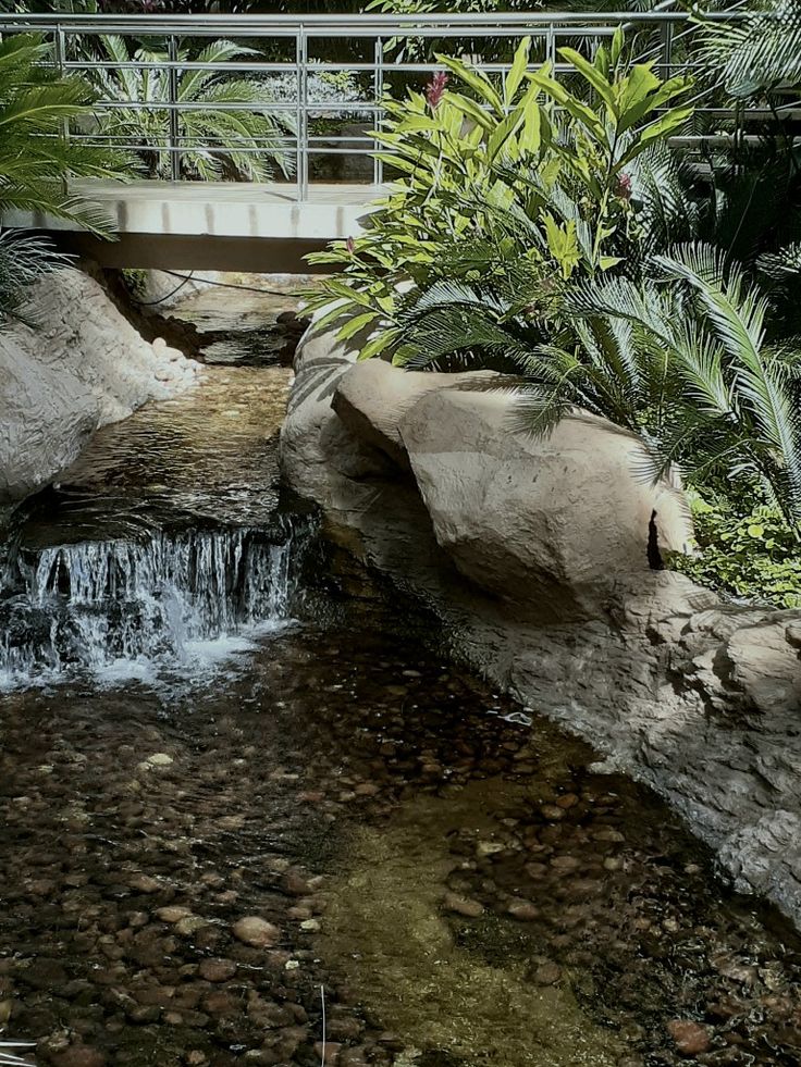 a bridge over a small stream in the middle of a forest