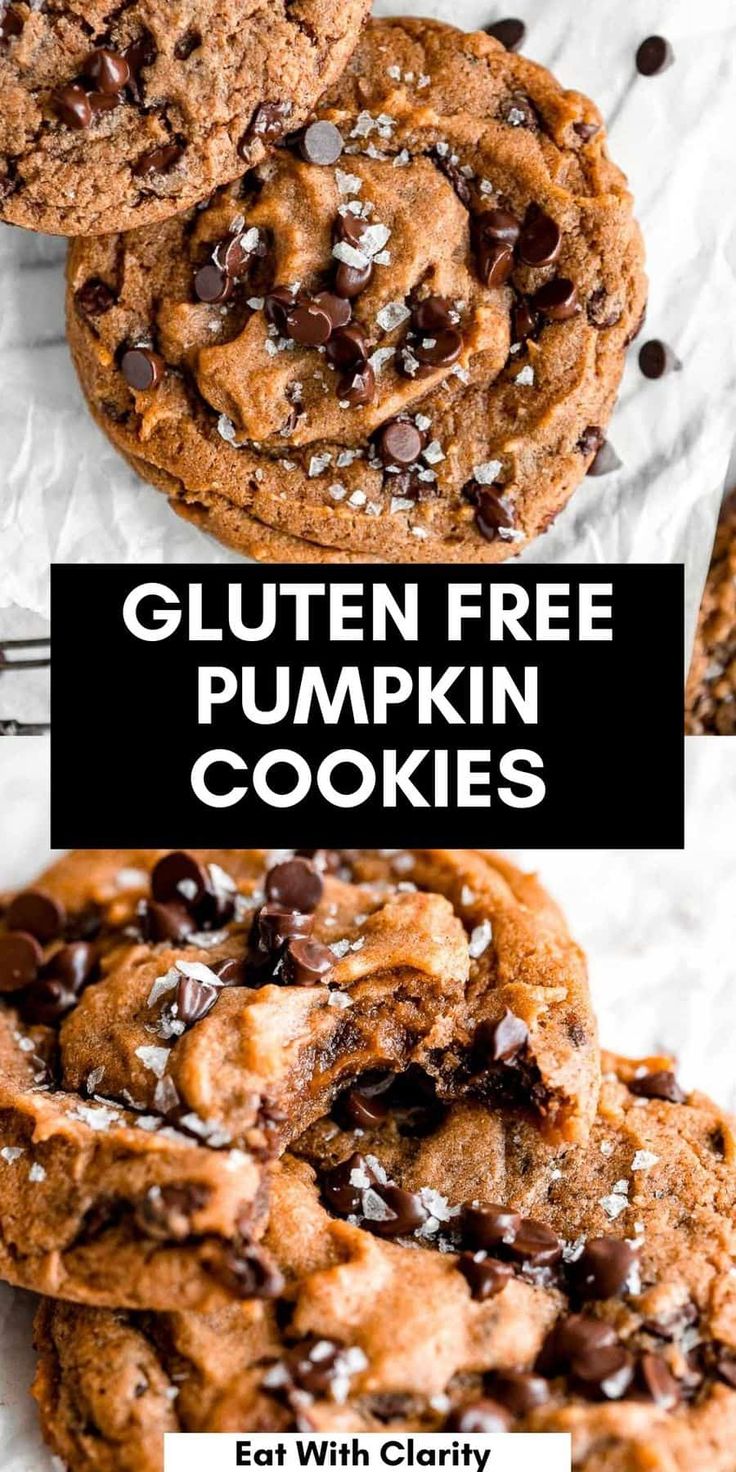 gluten free pumpkin cookies with chocolate chips on top