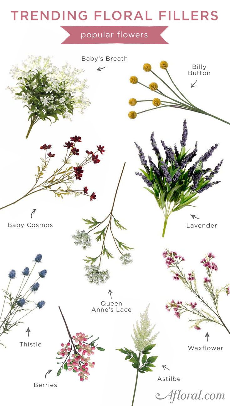 different types of flowers and their names on a white background with the words trending floral fillers