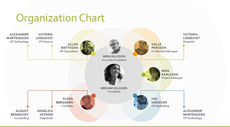 the organization chart is shown with five different people in circles and one man's head on