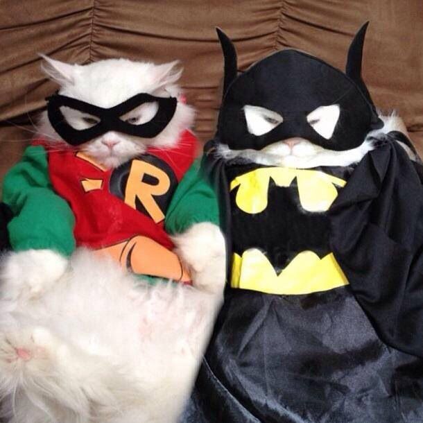 two cats dressed up as batman and robin wayne sitting on a couch with one cat wearing a costume