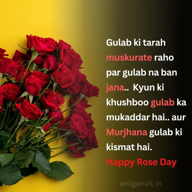 a bouquet of red roses sitting on top of a yellow background with the words happy rose day