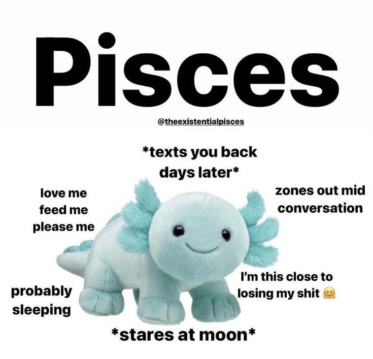 a stuffed animal with the words pisces written on it's back side