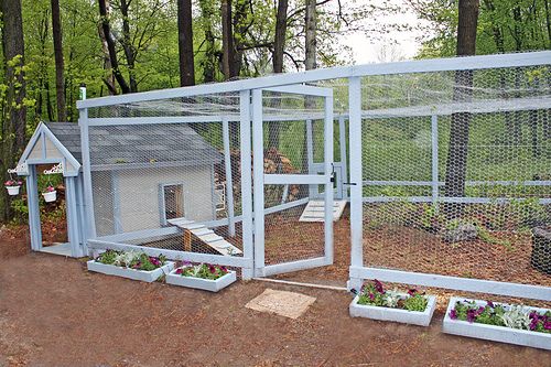 a chicken coop with several plants growing in the ground and on top of each other