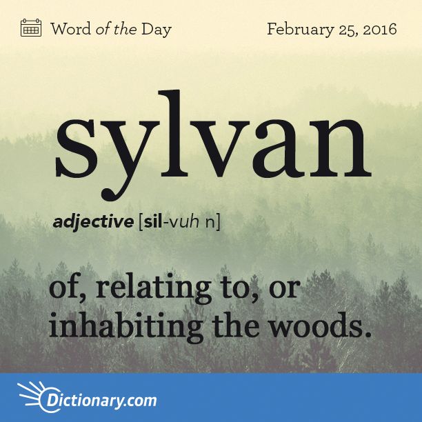 the words syvan are in black and white on a blue background, with trees behind it