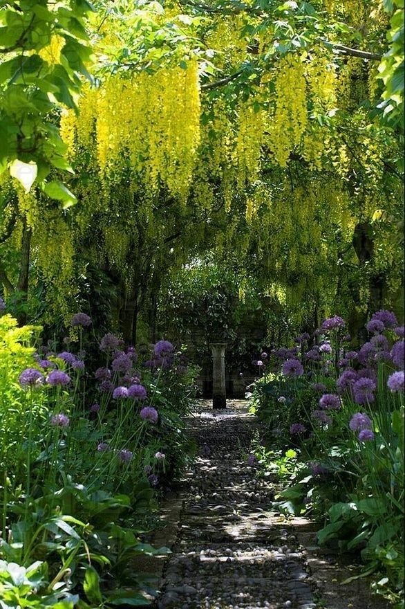 the path is lined with purple flowers and trees