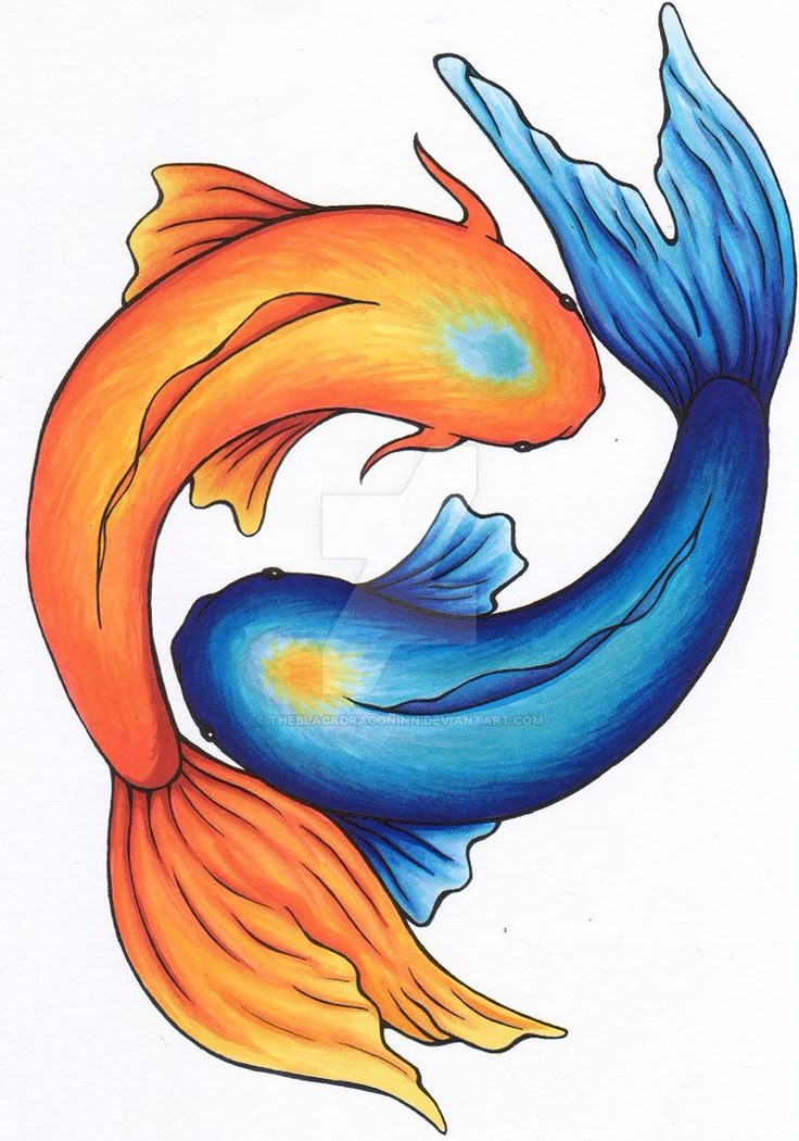 a drawing of two orange and blue koi fish swimming in opposite directions to each other