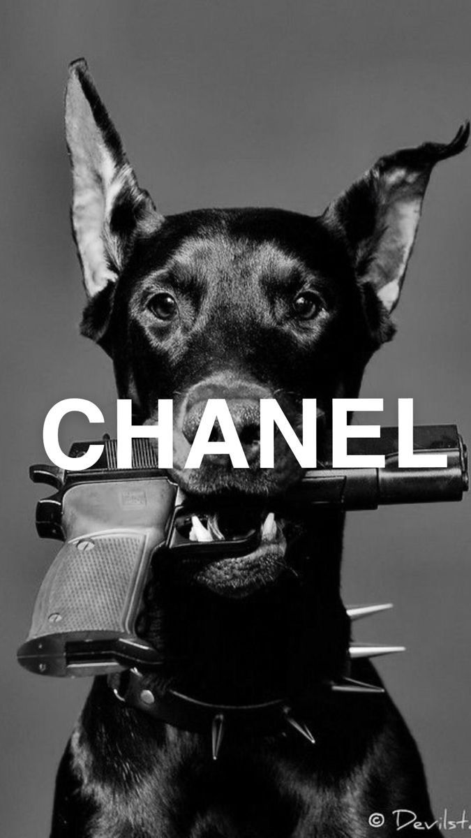 Plakat Design Inspiration, Sejarah Asia, Chanel Poster, مرسيدس بنز, Black And White Photo Wall, Black And White Picture Wall, Picture Collage Wall, Black And White Wallpaper, Photo Wall Collage