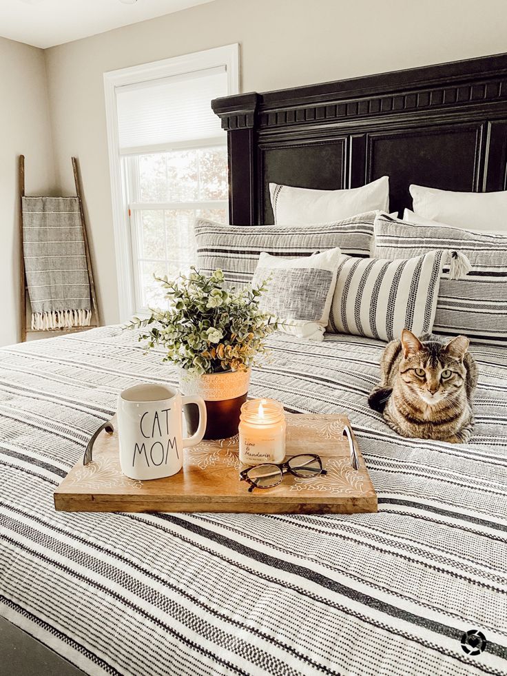 a cat laying on top of a bed next to a tray with a cup and candle