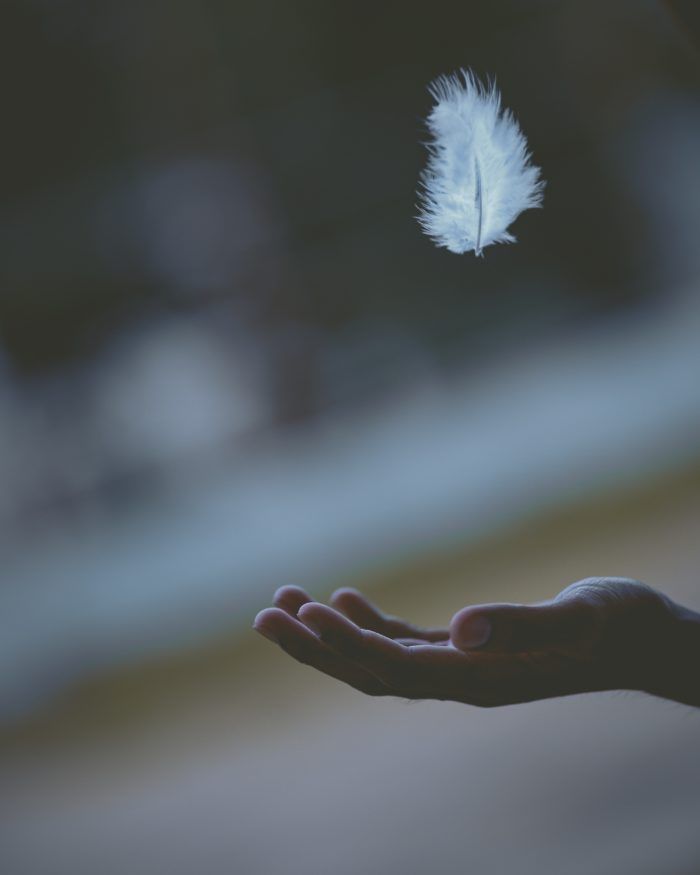 a white feather floating in the air above a person's hand with it's outstretched