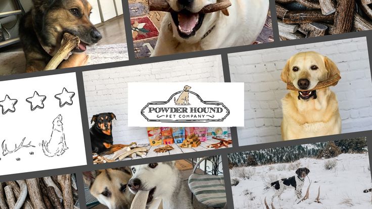 Powder Hound Pet | Antlers, Yak Chews, Bully Sticks And Treats