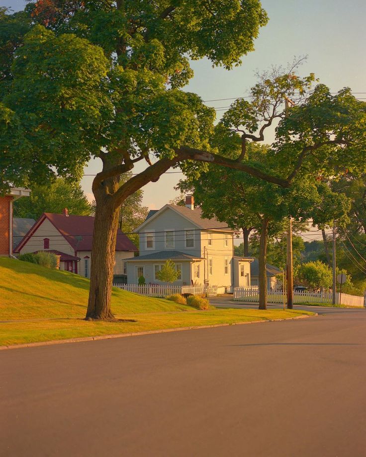 an empty street with houses in the background and trees lining the road on both sides