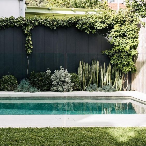 a pool surrounded by greenery next to a fence