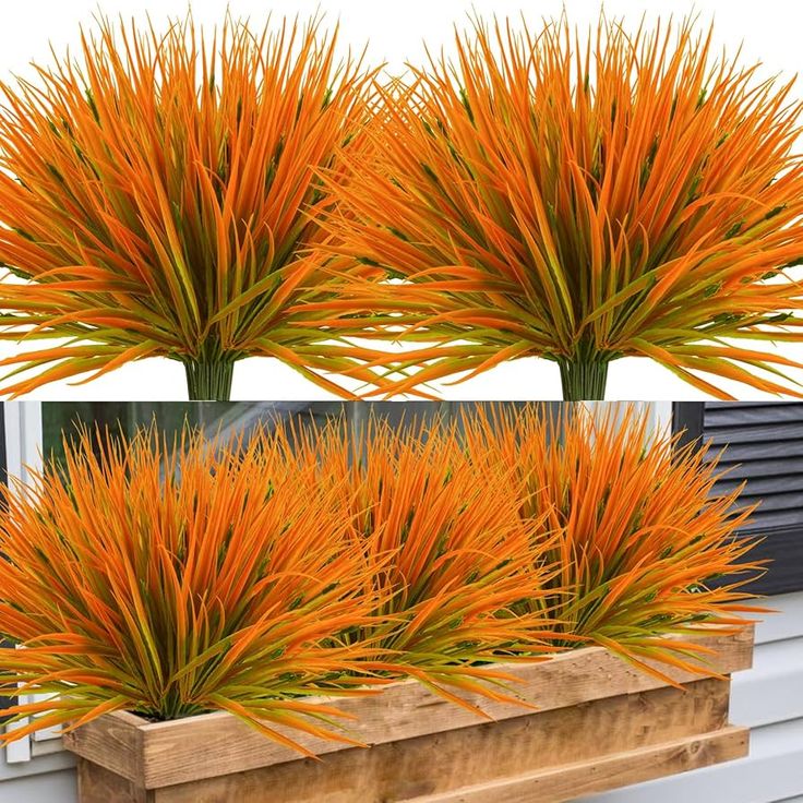 three orange plants in wooden planters sitting on a window sill next to each other