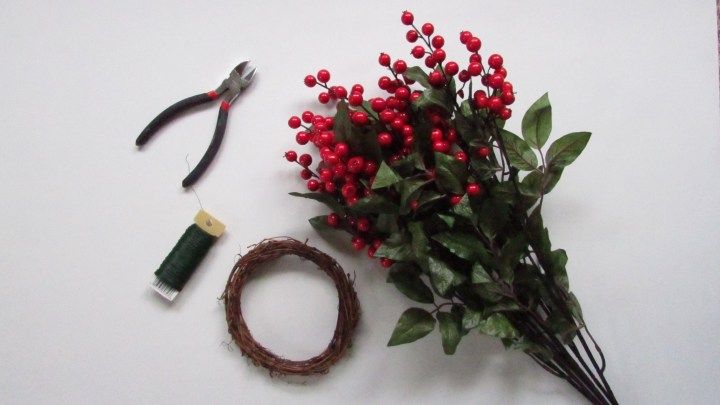 a bunch of red berries sitting on top of a table next to a pair of scissors