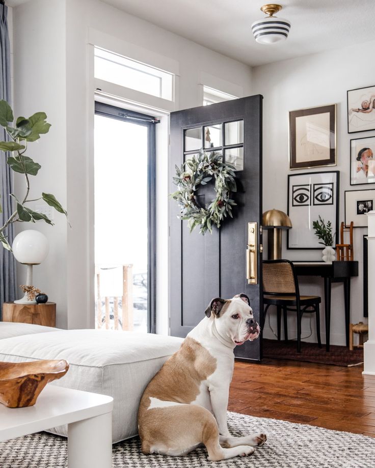 a brown and white dog sitting on top of a rug in front of a door