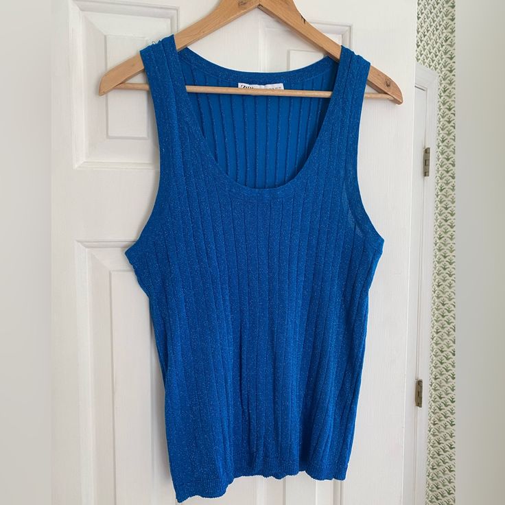 Bright Blue Metallic Knitted Tank Top From Zara. Brand New, Never Been Worn. Gorgeous Top, Super Stylish. Size Xl. Blue Stretch Knit Top For Spring, Blue Knitted Top For Spring, Blue Ribbed Knit Top For Summer, Fitted Blue Knit Top, Blue Textured Knit Top For Spring, Blue Sleeveless Knit Top For Spring, Blue Textured Knit Top For Summer, Stretch Blue Knitted Tops, Blue Knit Top