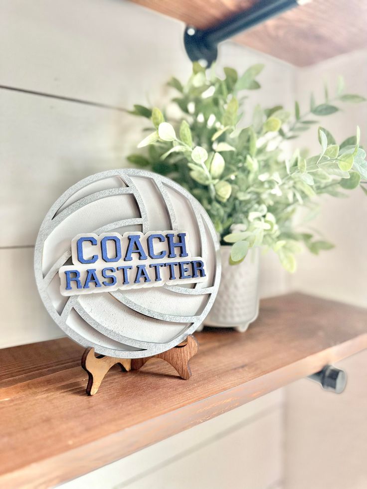 a white volleyball ball sitting on top of a wooden shelf next to a potted plant