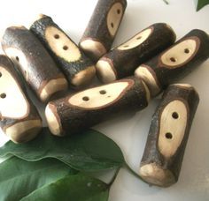 several pieces of wood sitting on top of a green leafy plant with holes in it