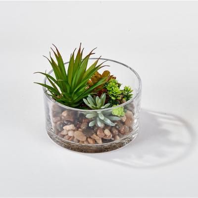 a glass vase filled with plants on top of a white table