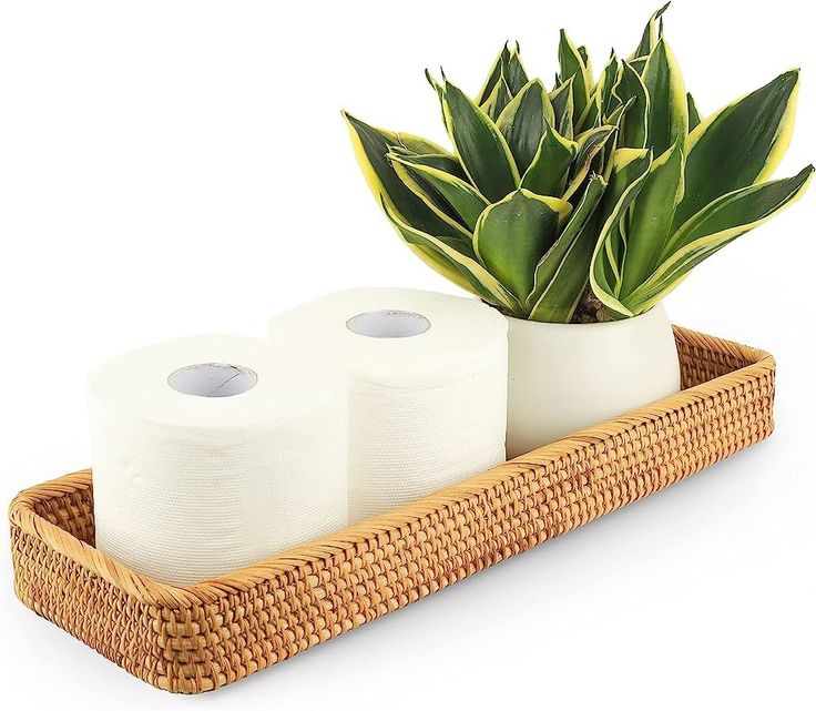 two rolls of toilet paper sitting on top of a bamboo tray next to a potted plant