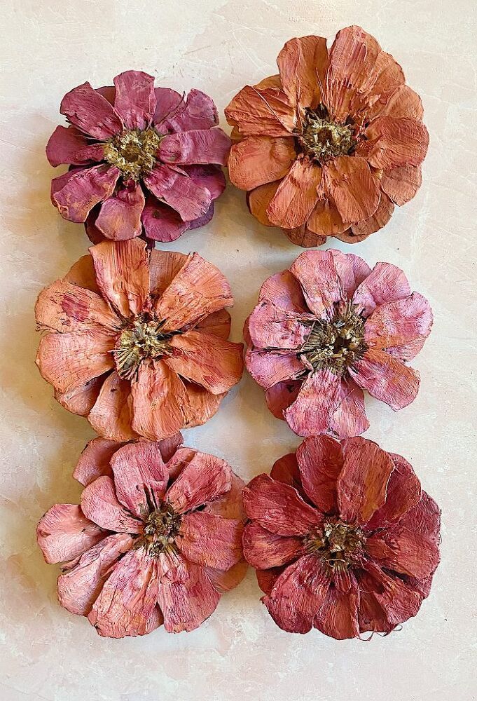 four pink flowers are arranged on a white surface