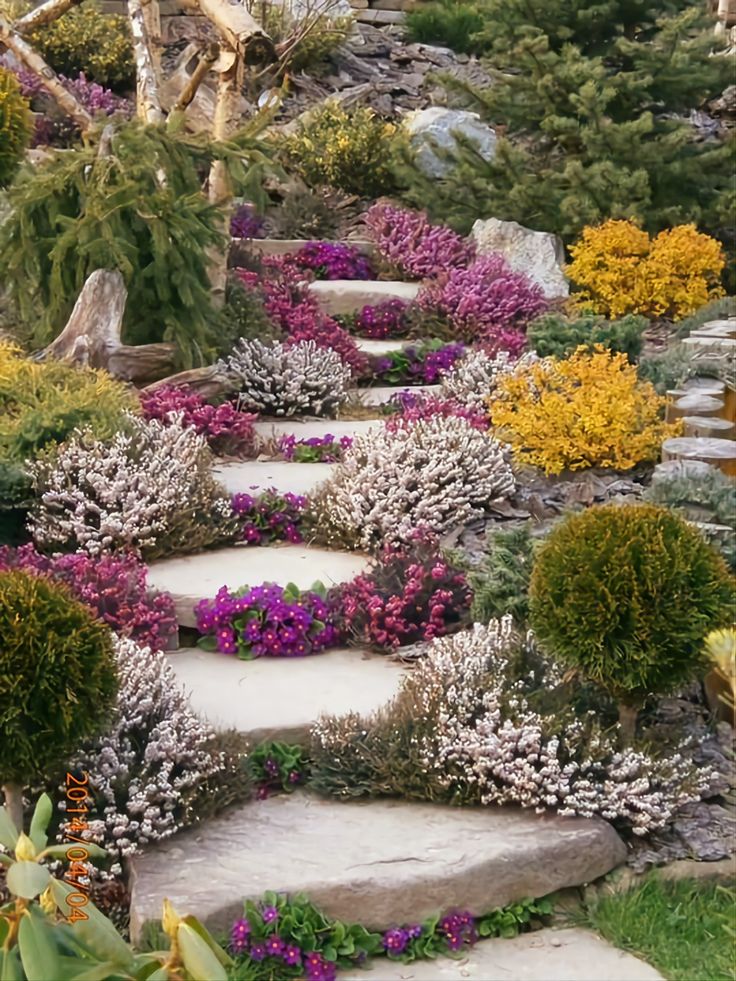 a garden with many different types of flowers and plants in it, including shrubs and rocks