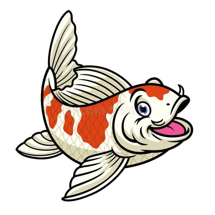 an orange and white koi fish with its tongue out