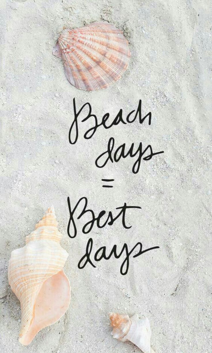 shells and seashells on the beach saying beach days best days